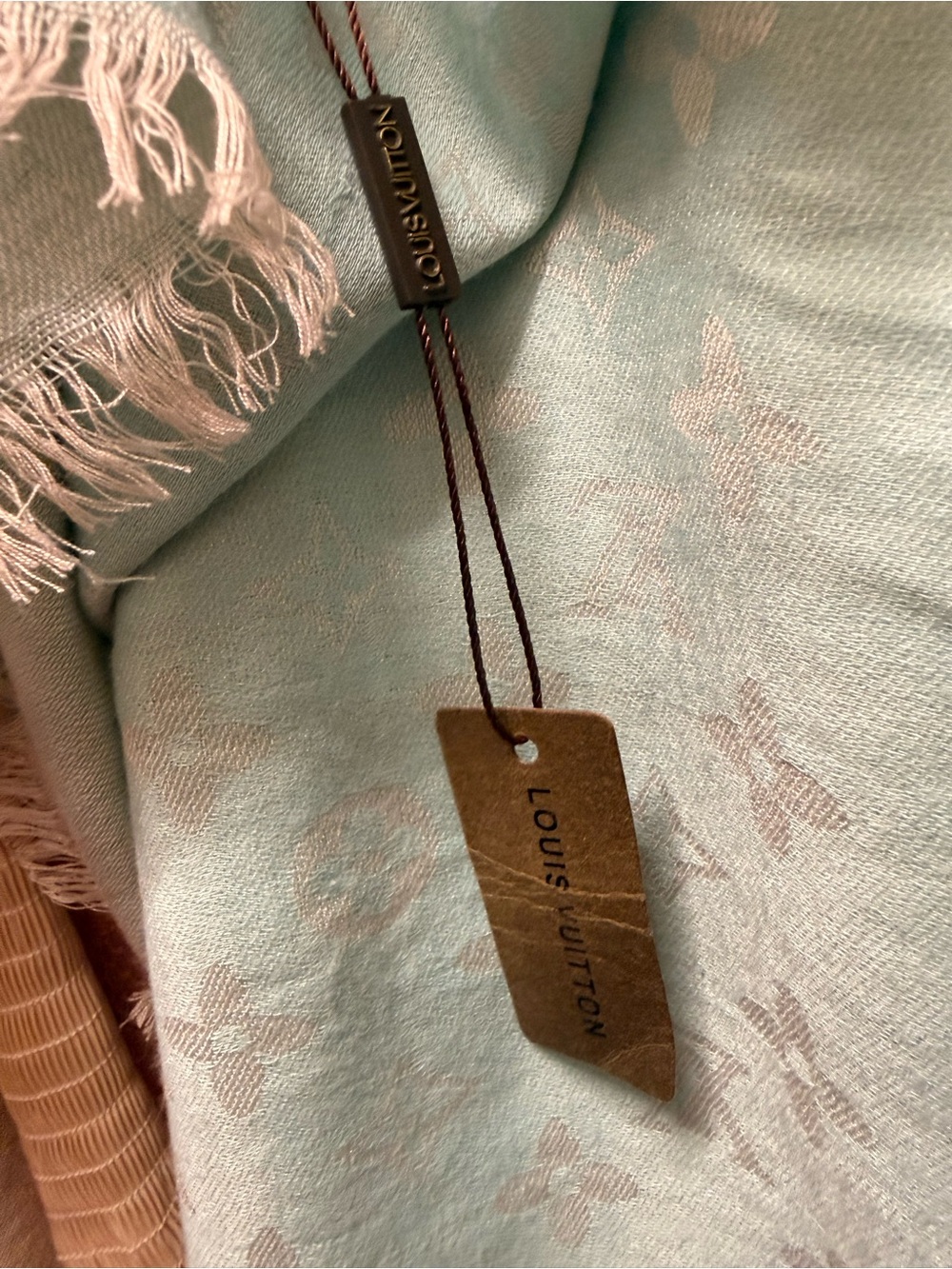 Louis Vuitton Mint Monogram Shawl